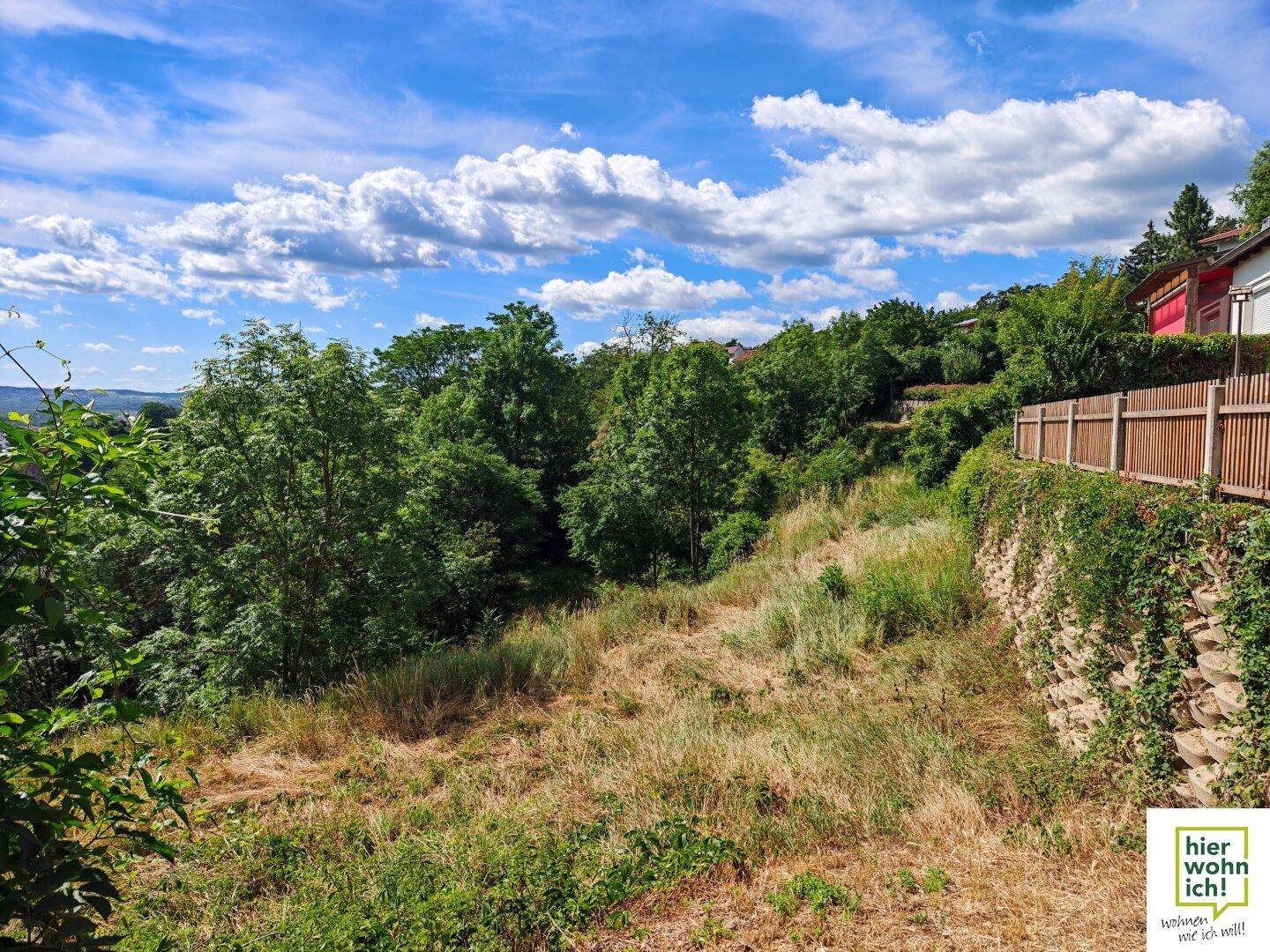 Grüne Hügellandschaft mit üppiger Vegetation und einem Holzzaun im Vordergrund.