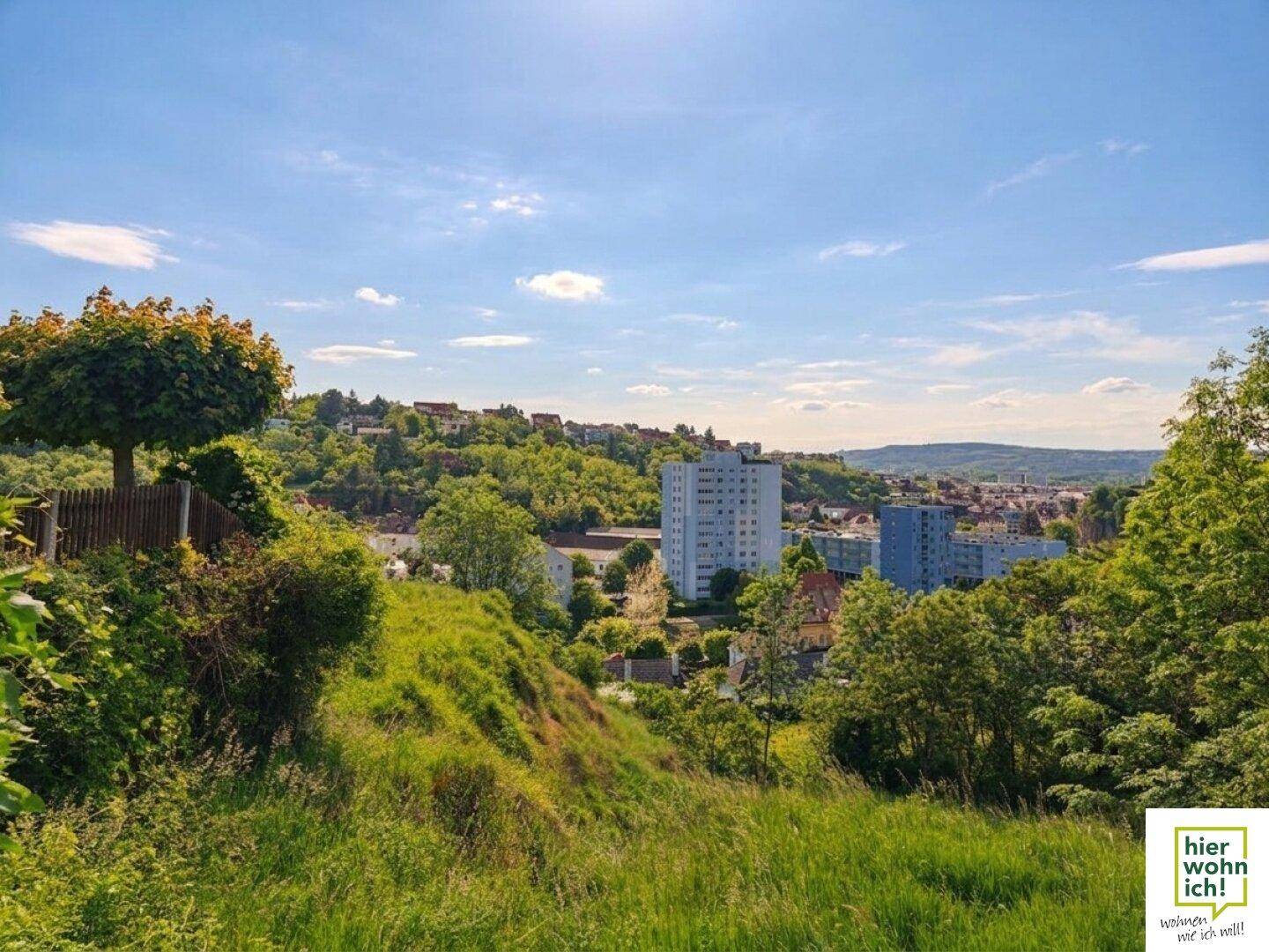 Sonniger Ausblick auf eine grüne Hügellandschaft mit Wohngebäuden und weitem Horizont.