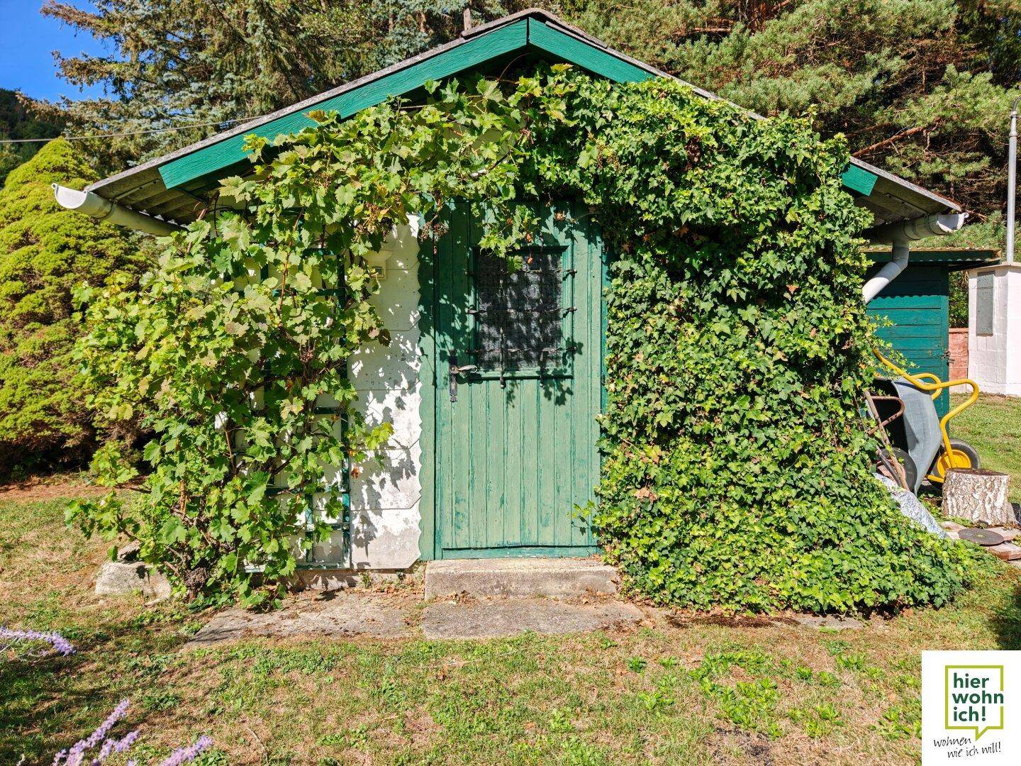 Vorderansicht eines grünen Gartenhauses, umrankt von Weinreben und umgeben von Natur.