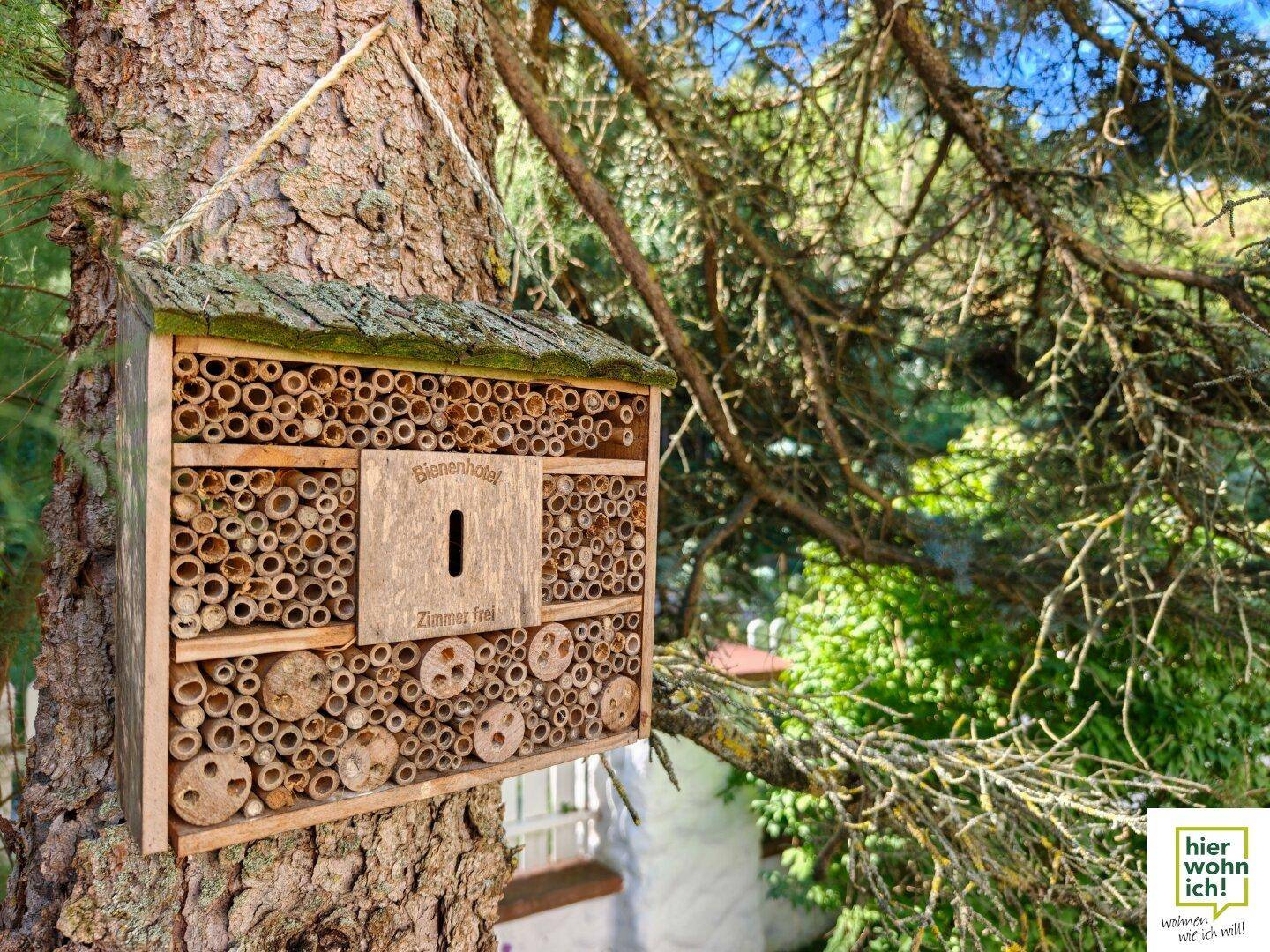 Ein Bienenhotel hängt an einem Baum, um Insekten einen Lebensraum zu bieten.