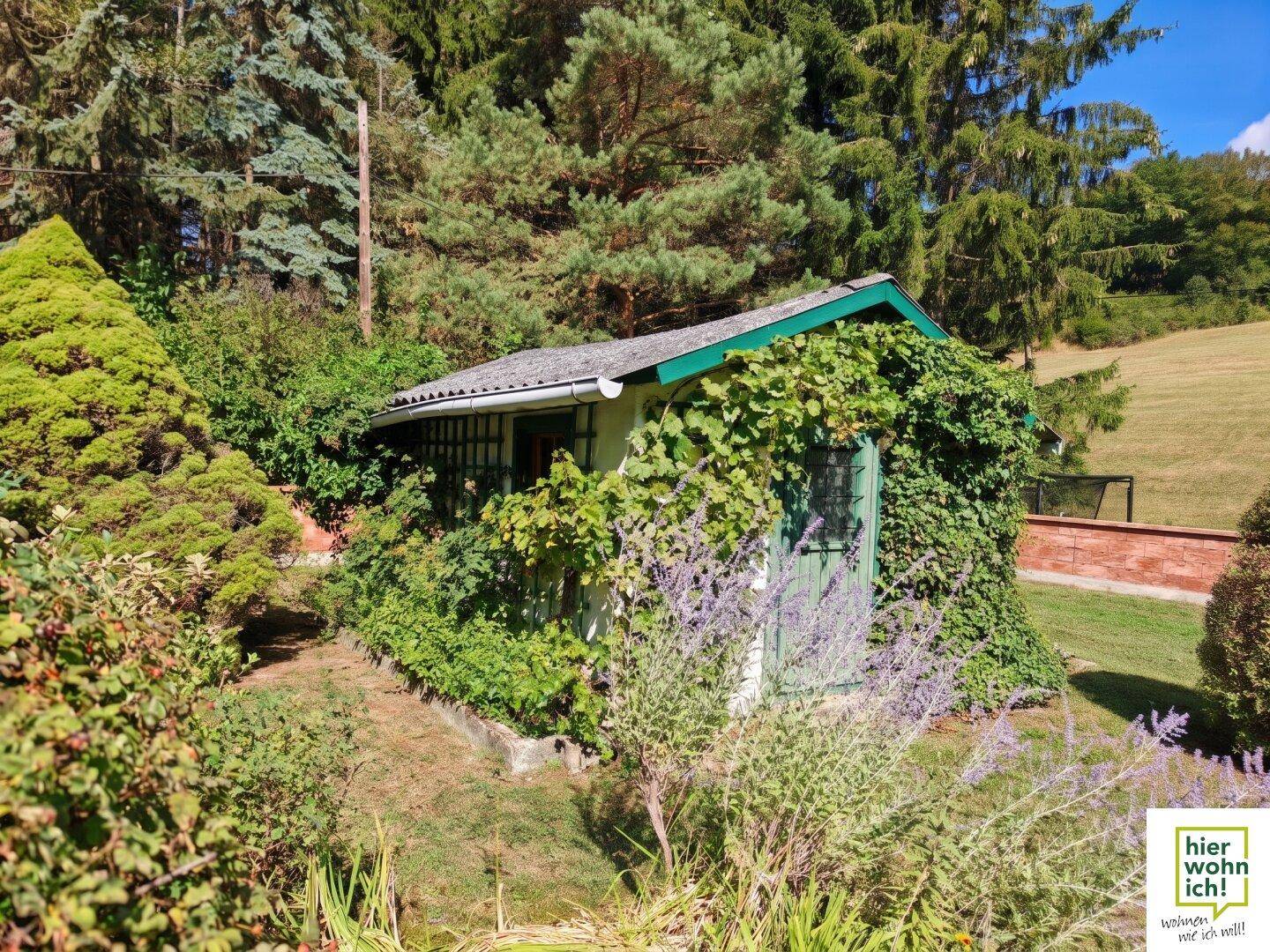 Kleines, von Pflanzen bewachsenes Gartenhaus in einer idyllischen grünen Umgebung.