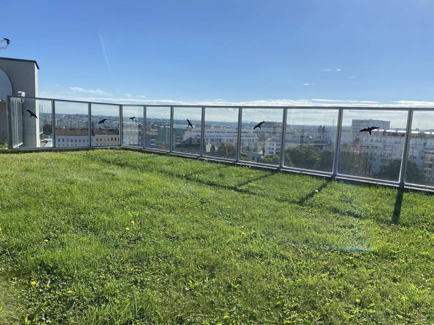 Grüne Dachfläche mit Rasen und Panoramablick über die Stadt.