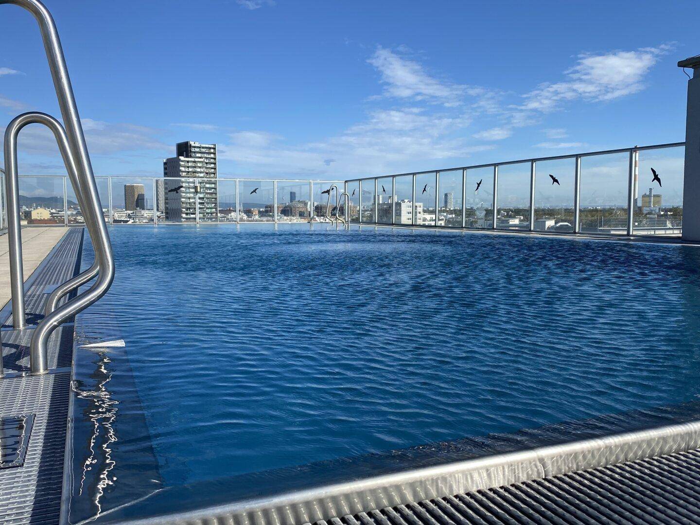Dachpool mit Stadtblick und klarem blauen Wasser unter strahlendem Himmel.