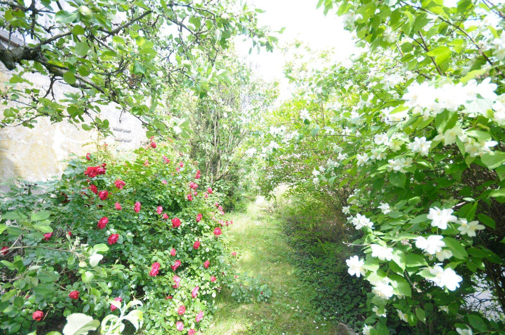 Idyllischer Gartenweg umgeben von blühenden Rosen und üppigem Grün unter einem sonnigen Himmel.