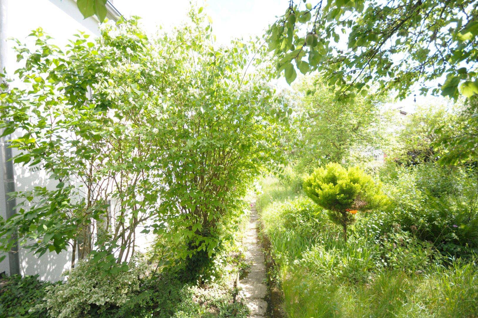 Schmaler Gartenweg zwischen dichtem Grün und blühenden Pflanzen an der Hauswand.
