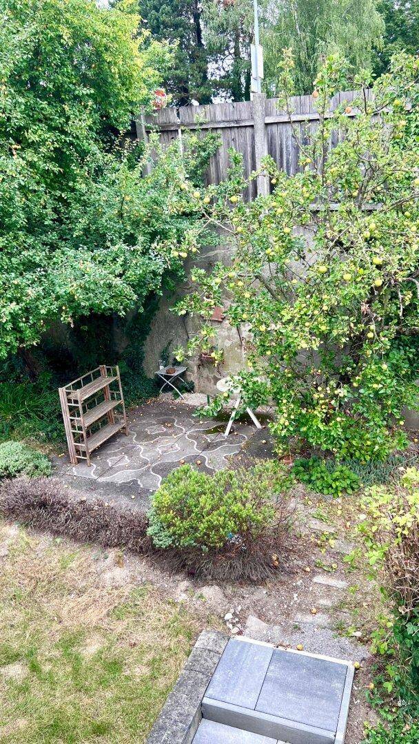 Gepflasterter Gartenbereich mit Sitzgelegenheit, umgeben von Bäumen und Sträuchern.