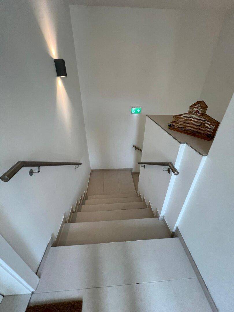 Heller Treppenaufgang mit Handläufen und moderner Beleuchtung.
