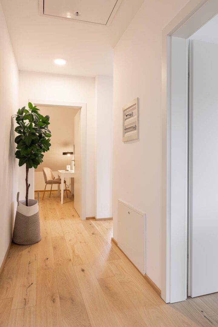 Heller Flur mit Holzboden und einer dekorativen Pflanze.