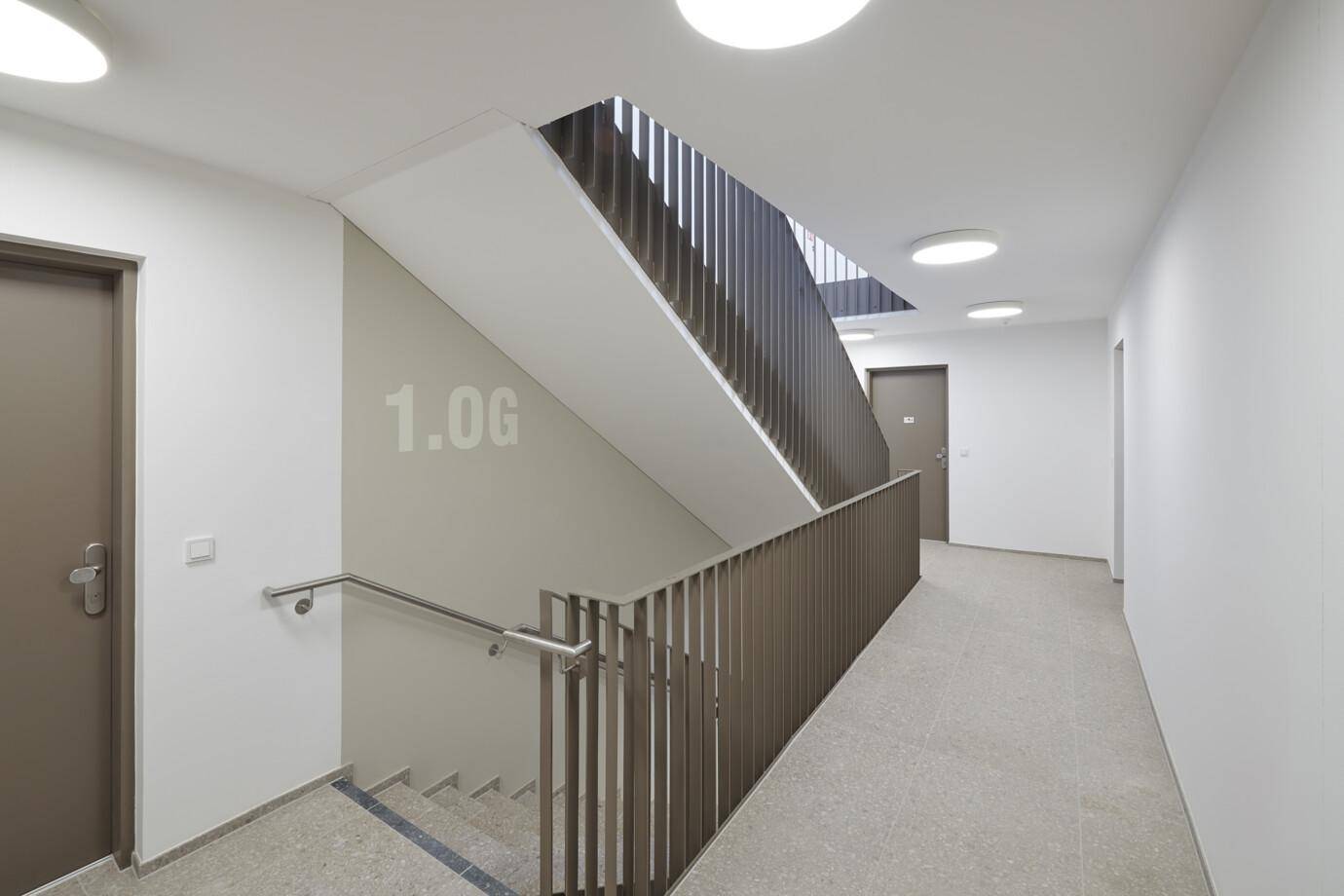 Modernes Treppenhaus mit klaren Linien, Handlauf und Zugang zu den Wohnungen im ersten Obergeschoss.