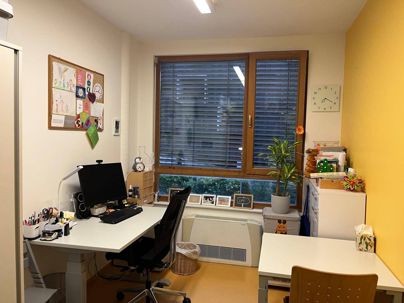 Heller Büroraum mit Schreibtisch, Stuhl, Pflanzen und einem Fenster mit Blick auf die Umgebung.