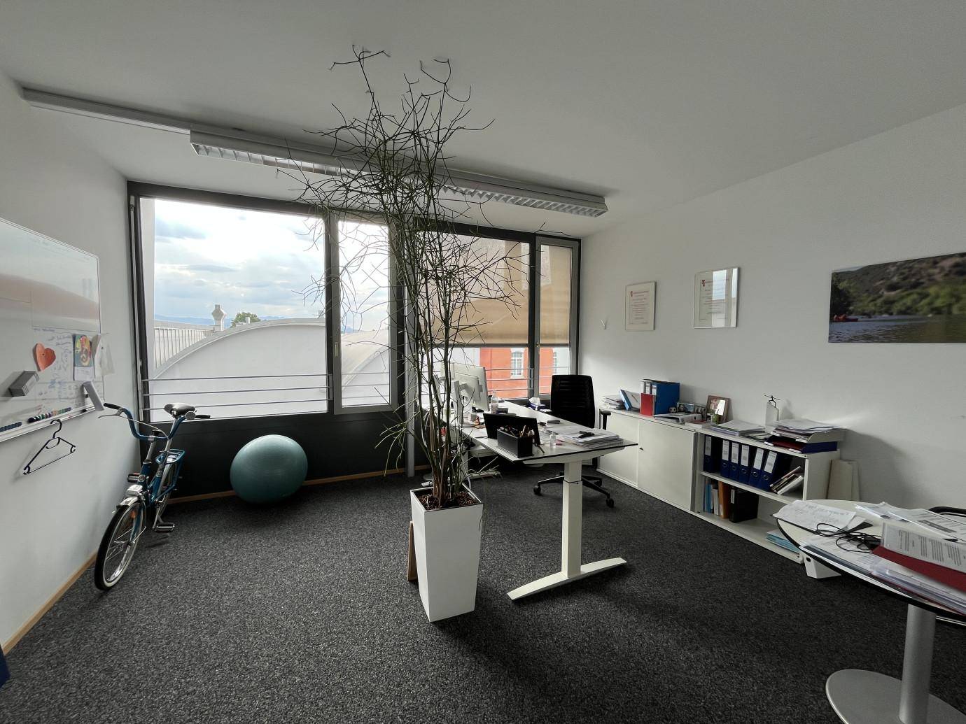 Geräumiges Büro mit Stehpult, großer Pflanze und viel Tageslicht durch die Fensterfront.