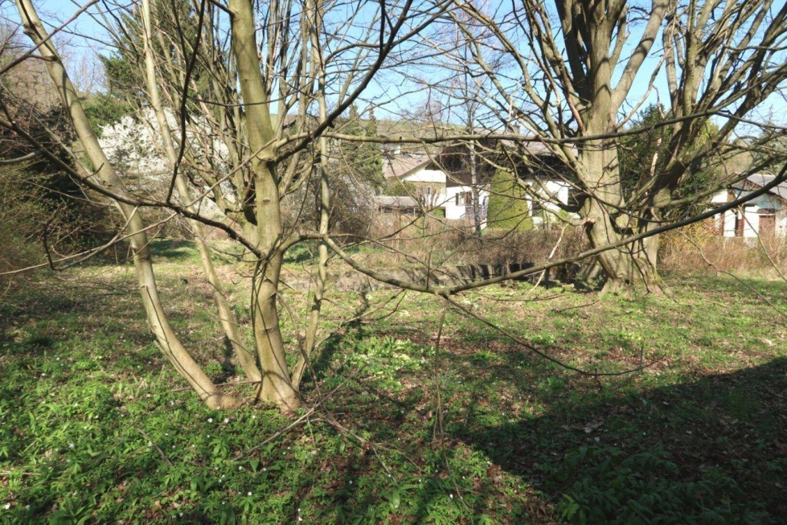 Grundstück