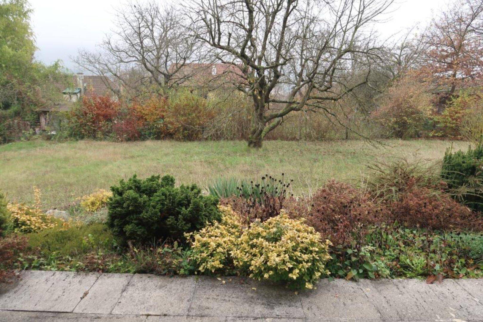 Terrasse Gartenblick Richtung Süden