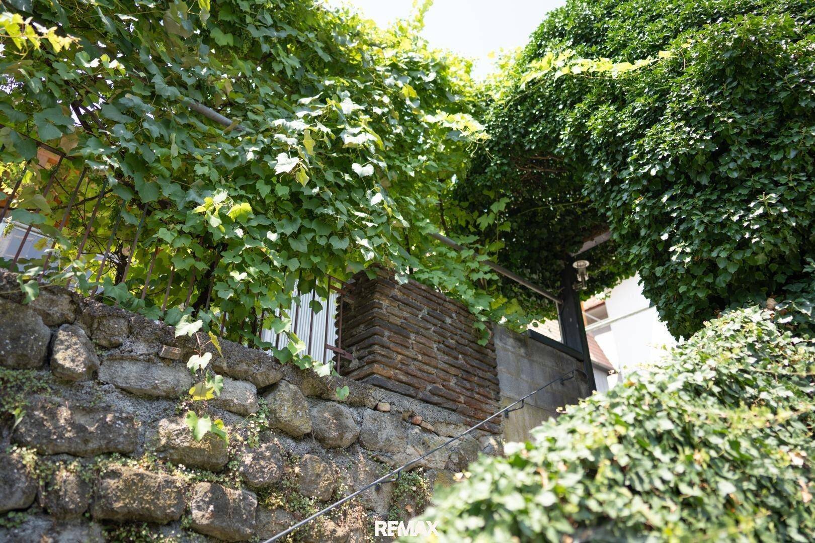 Nahaufnahme einer Steinmauer, üppig bewachsen mit grünen Ranken, schafft eine natürliche Atmosphäre.