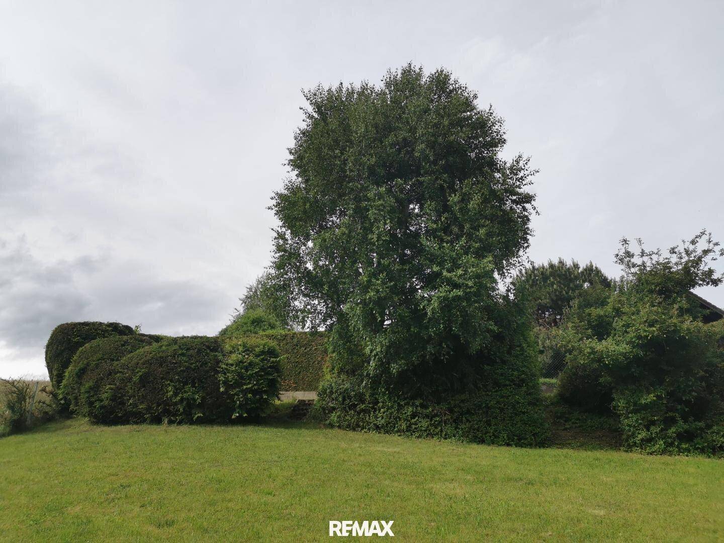 Großer Baum und gepflegte Büsche auf einer grünen Wiese unter bewölktem Himmel.