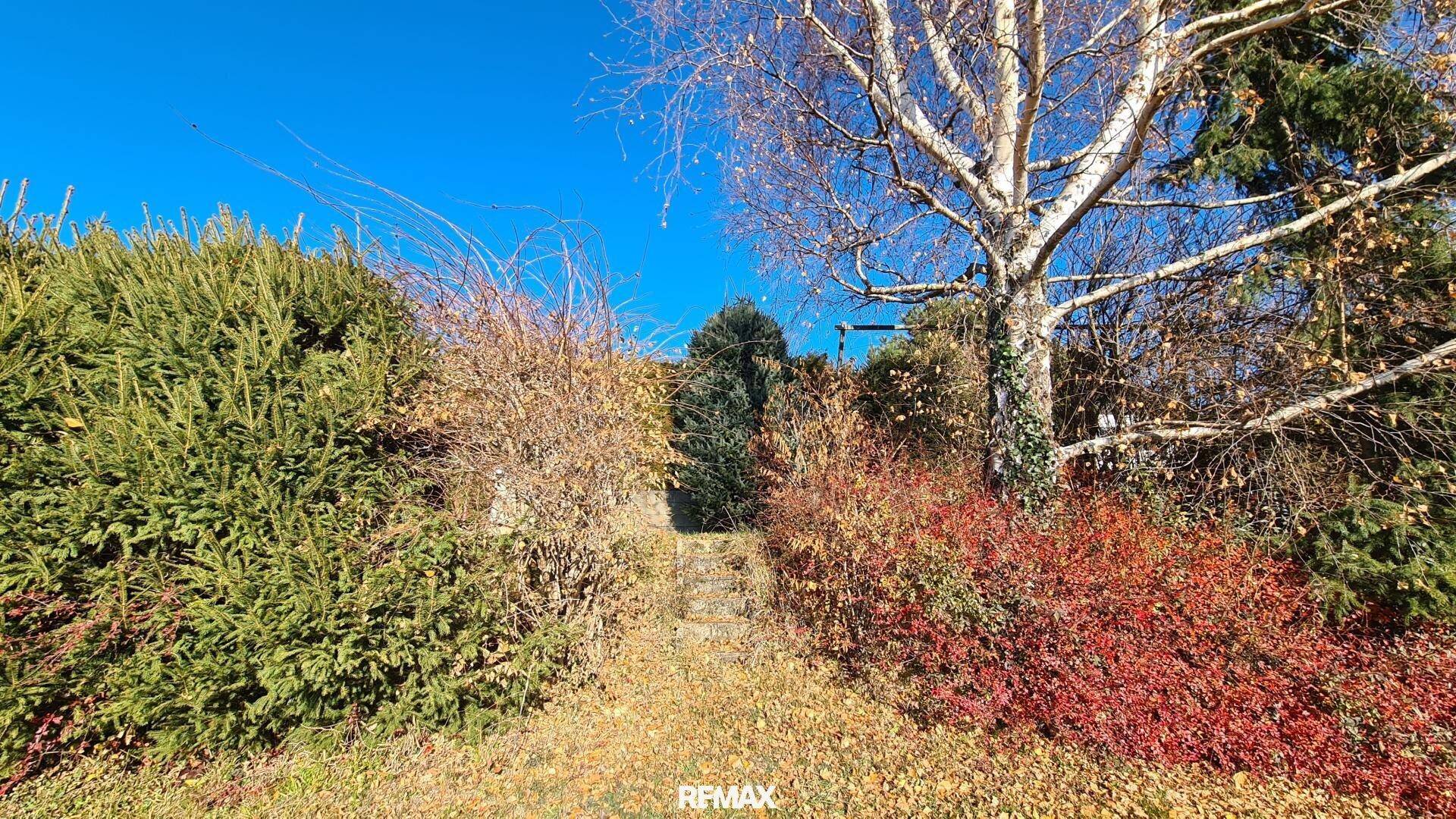 Stufenweg im Garten, umgeben von herbstlichen Sträuchern und einem hohen Baum.