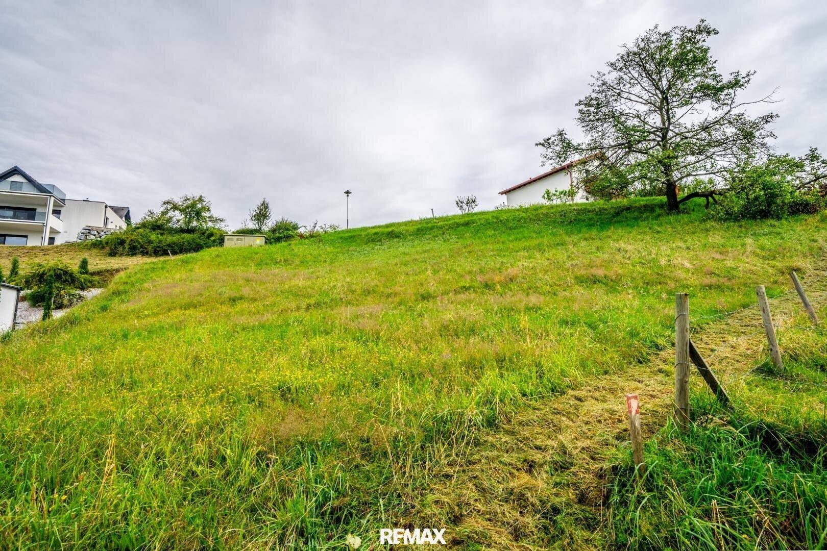 Grüner, sanft ansteigender Hügel mit vereinzelten Bäumen und Häusern in der Ferne unter bewölktem Himmel.
