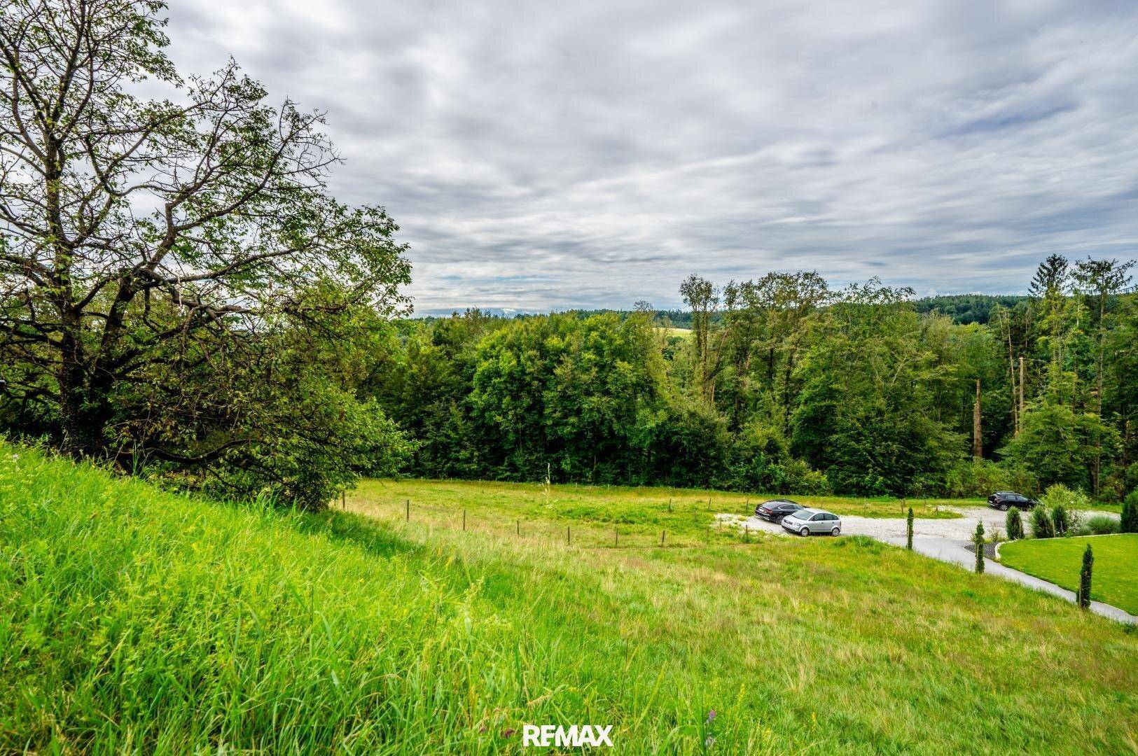 Weitläufige grüne Landschaft mit Bäumen und dichtem Wald im Hintergrund unter einem bewölkten Himmel.