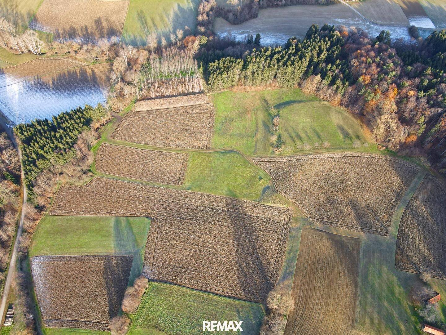 Luftaufnahme von landwirtschaftlich genutzten Feldern mit unterschiedlichen Anbauflächen und Waldrändern im Sonnenlicht.