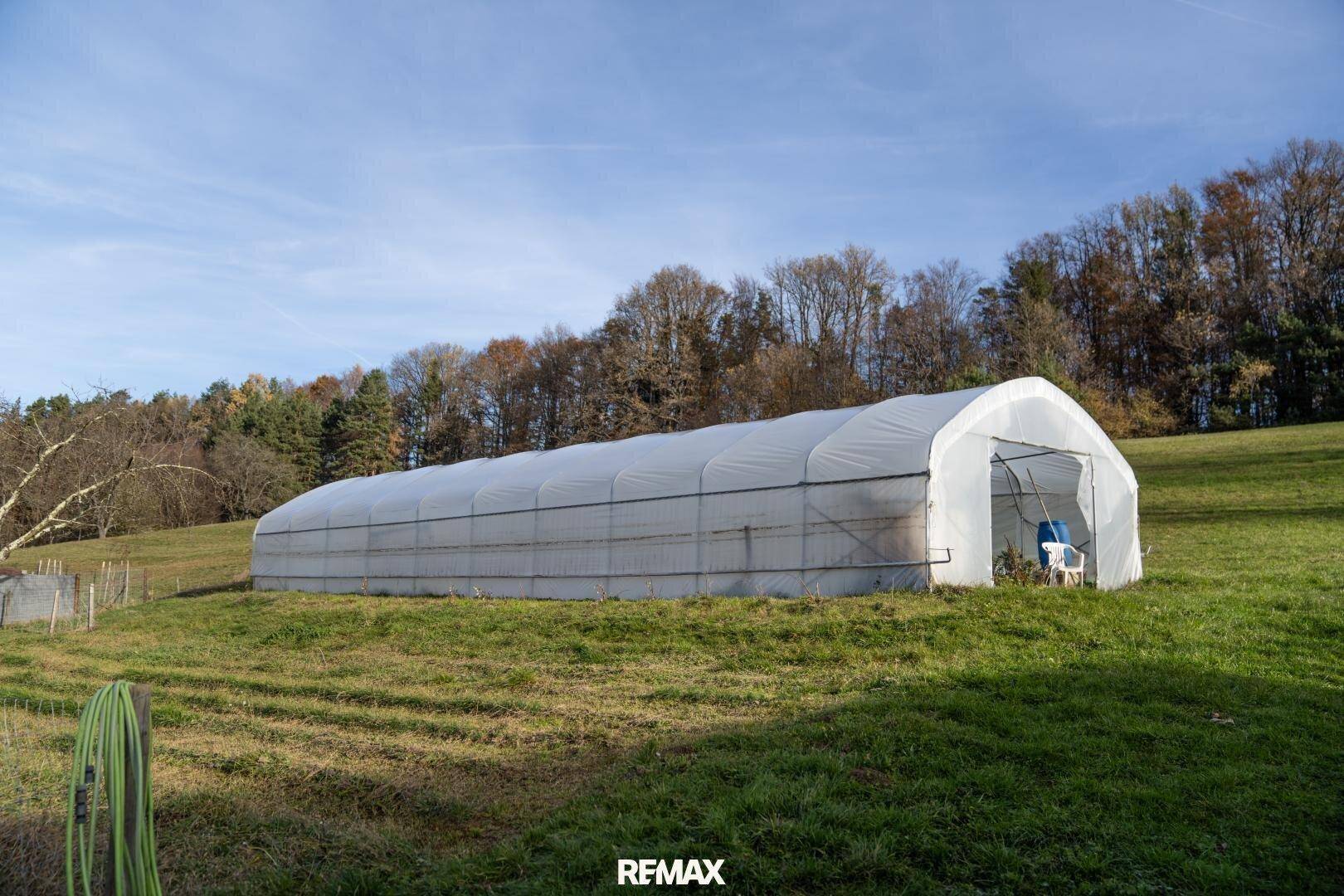 Großes, weißes Gewächshaus auf einem grünen Feld unter blauem Himmel, umgeben von Bäumen und Natur.