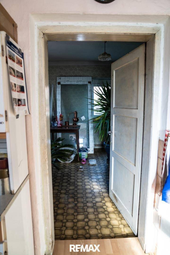 Durchgang zu einem weiteren Raum mit gemustertem Boden und einer großen Zimmerpflanze im Hintergrund, hell beleuchtet.