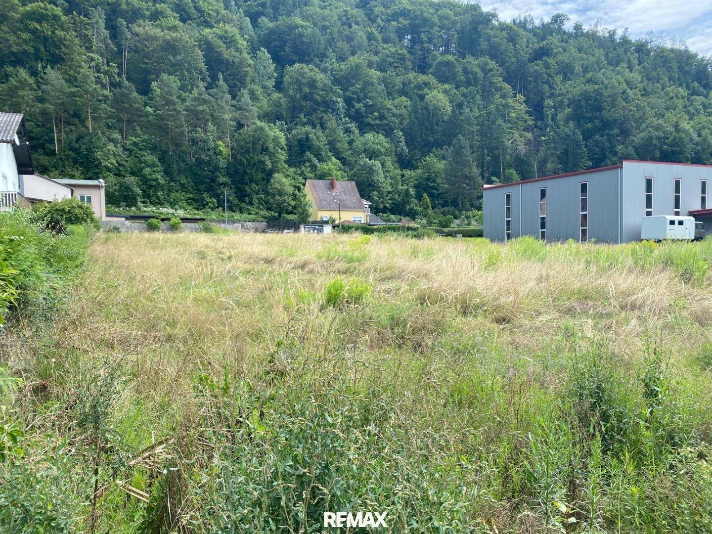 Weitläufiges Grundstück mit Blick auf ein modernes Gebäude und einen bewaldeten Berghang.