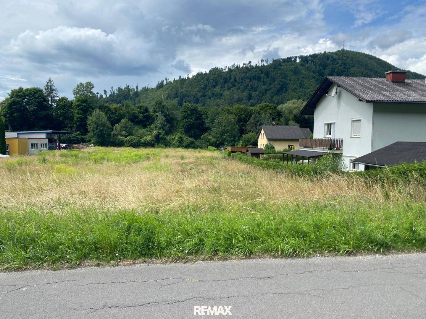 Weitläufiges Wiesengrundstück mit traditionellem Wohnhaus und dicht bewaldetem Berg im Hintergrund.