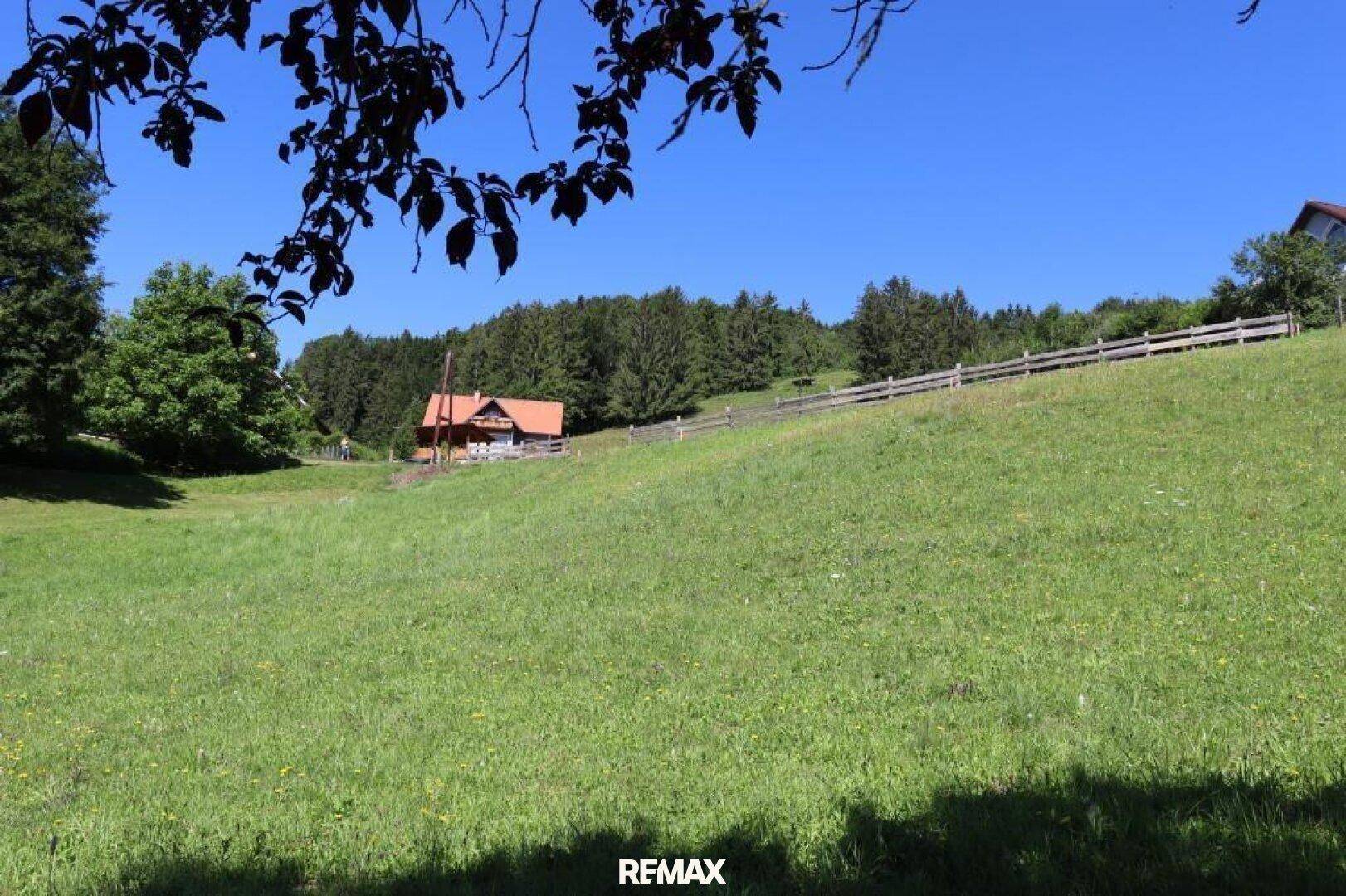 Weitläufige grüne Wiese mit einem Haus im Hintergrund und dichtem Wald unter einem klaren blauen Himmel.