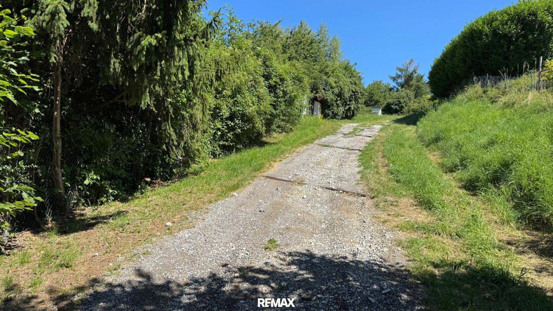 Geschotterter Zufahrtsweg, der sich zwischen dichtem Grün und Bäumen einen Hang hinaufschlängelt.