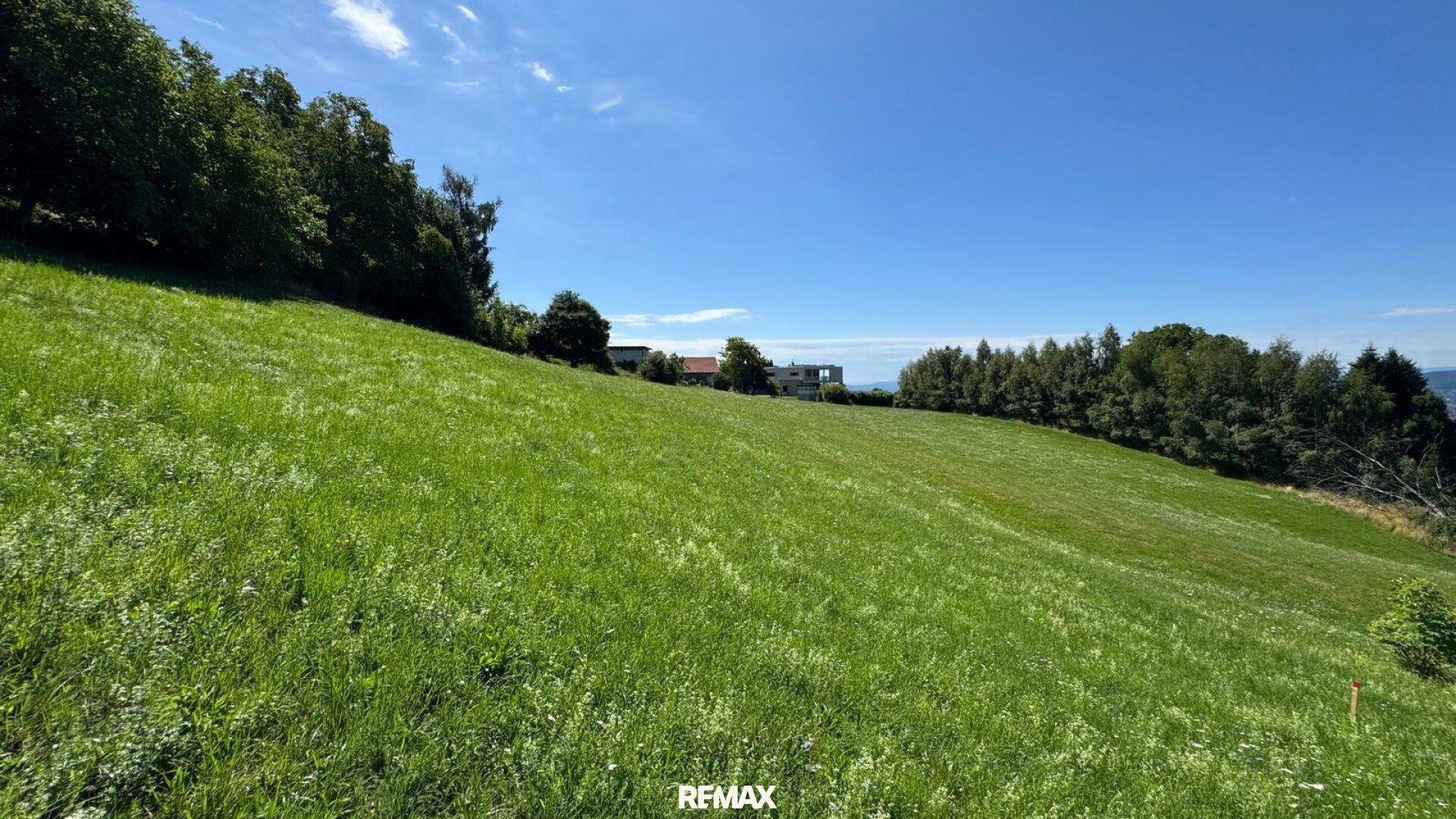 Abfallende grüne Wiese mit Baumbestand und einem weiten Blick auf die umliegende Bebauung in der Ferne.