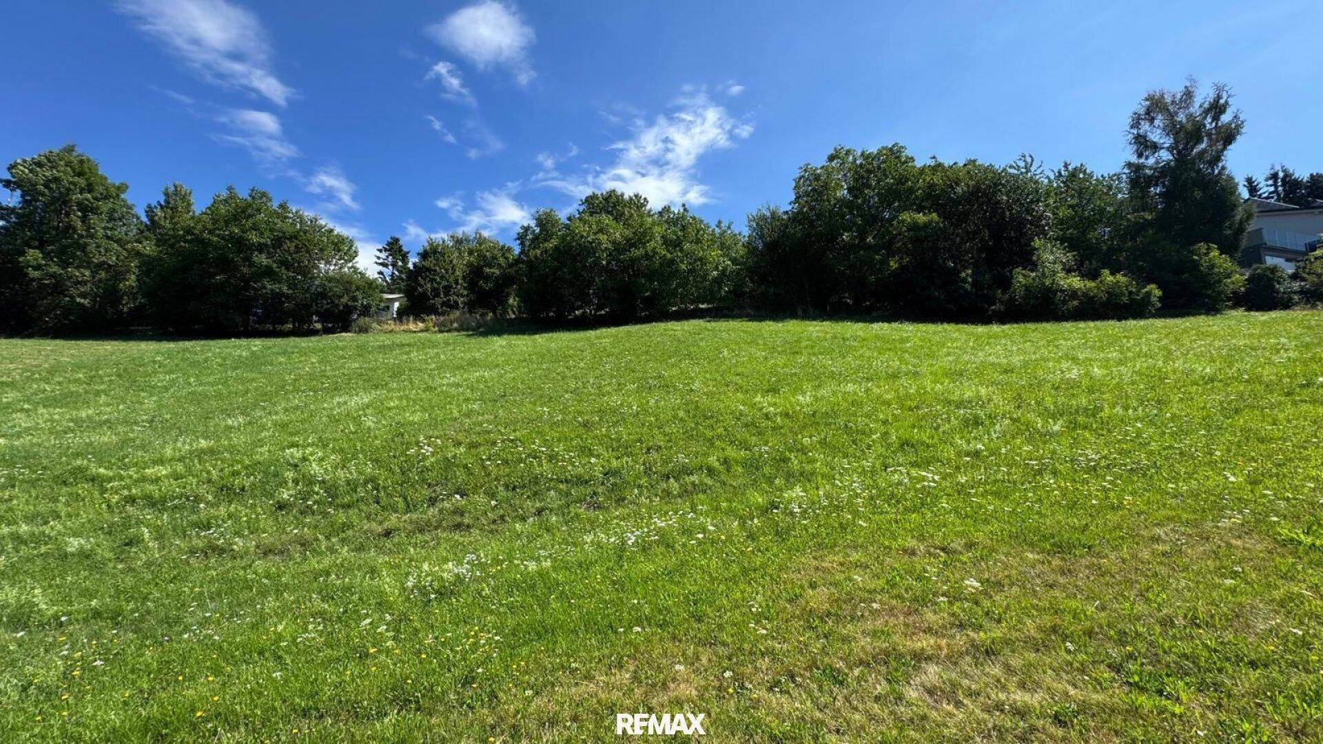 Ebene grüne Rasenfläche mit einer Reihe von Bäumen im Hintergrund unter einem klaren Himmel.