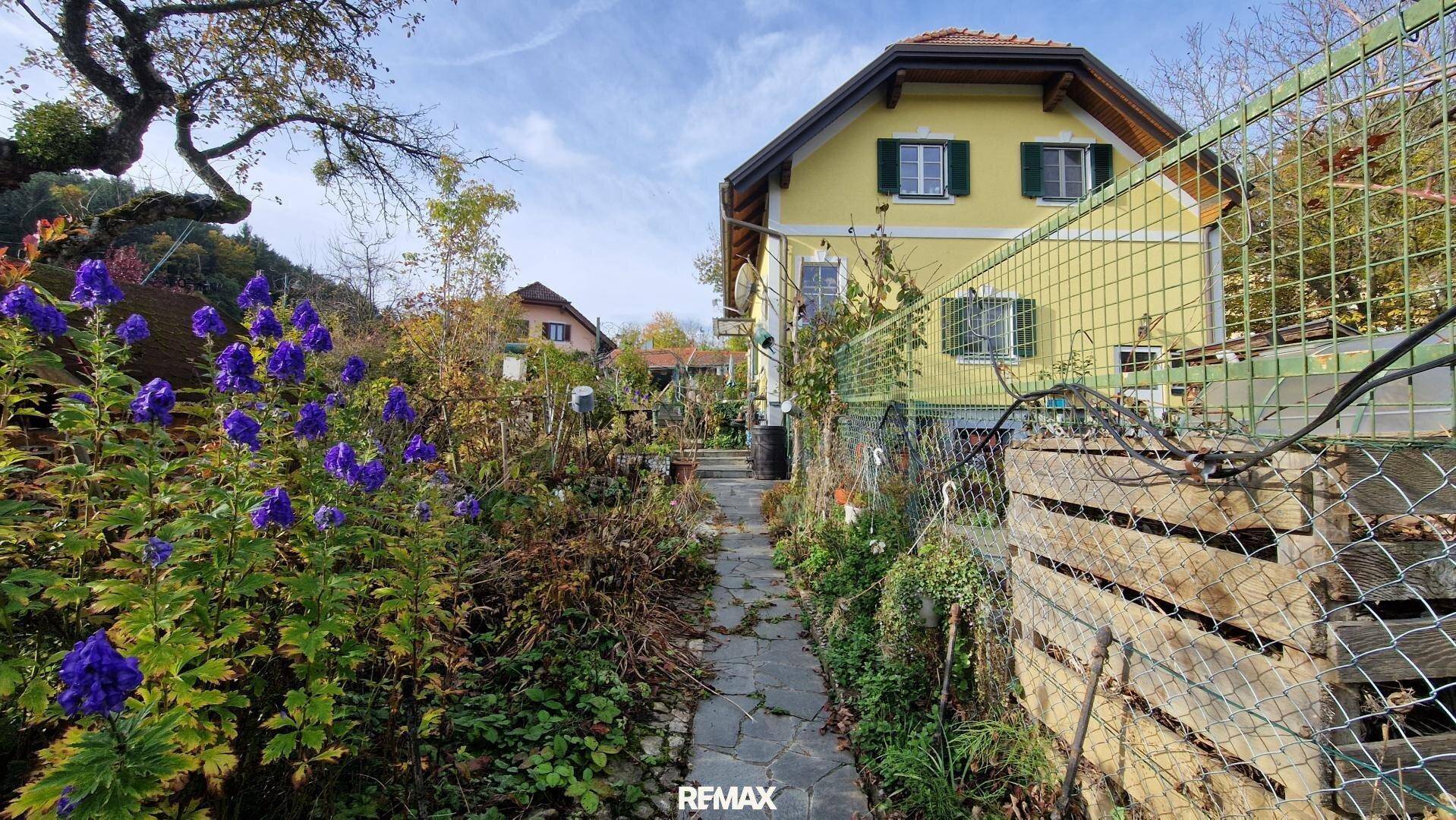 Gartenweg mit lila Blumen führt zu einem gelben Haus, umgeben von üppiger Vegetation und einem Zaun.