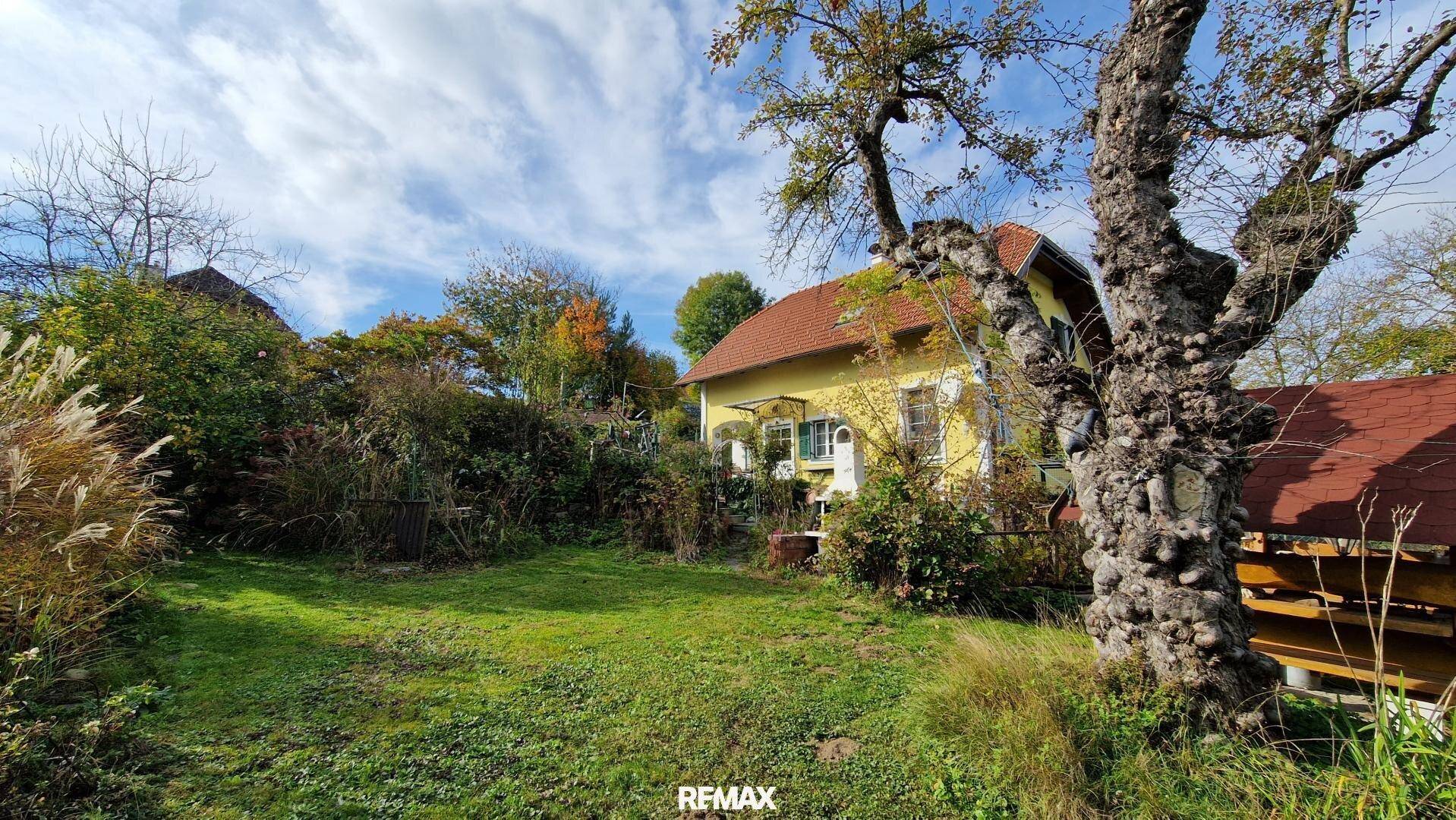 Großer Gartenbereich mit Rasenfläche und altem Baum, umgeben von üppiger Vegetation.