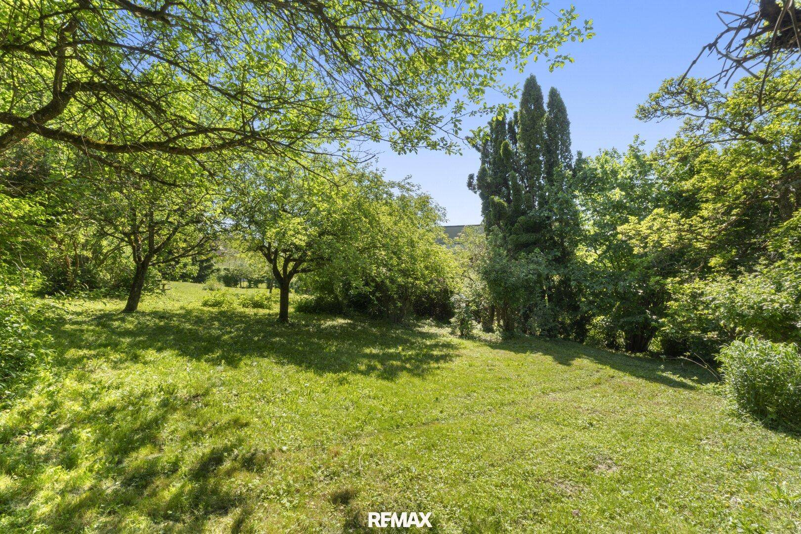 Sonniger Gartenbereich mit altem Baumbestand und weitem Blick in die grüne Landschaft.