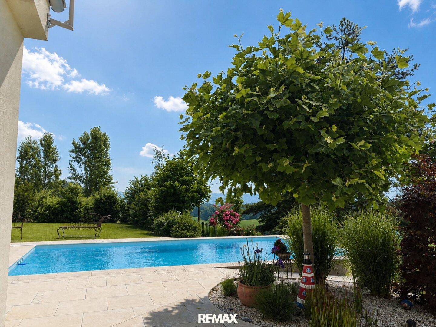 Außenbereich mit großem Swimmingpool, umgeben von üppigem Grün und einem Baum unter strahlend blauem Himmel.