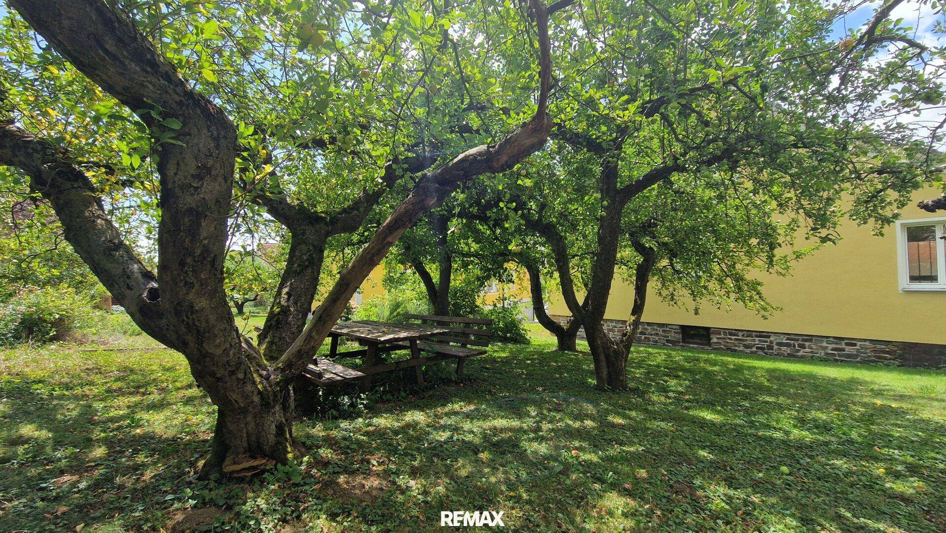 Idyllischer Garten mit alten Obstbäumen und einem Holztisch für gemütliche Stunden im Freien.
