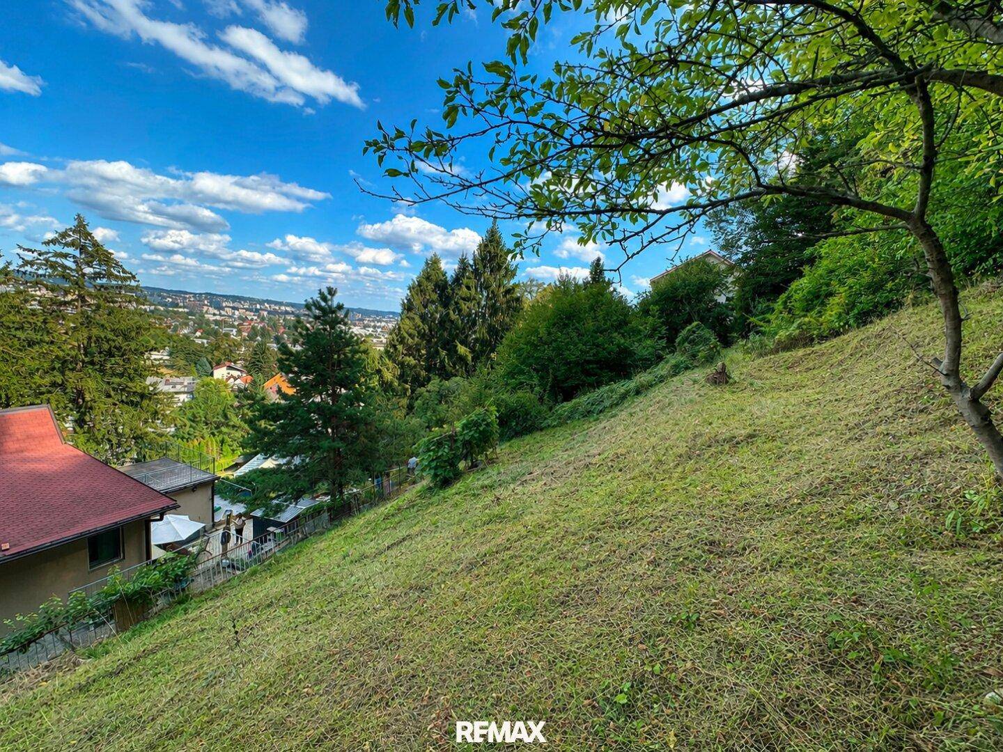 Abfallende grüne Wiese mit Bäumen und einem weiten Blick über die umliegende Landschaft und Häuser.