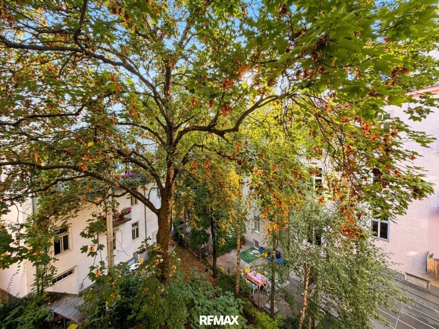 Blick von oben in einen grünen Innenhof mit großen Bäumen und einem kleinen Spielbereich.