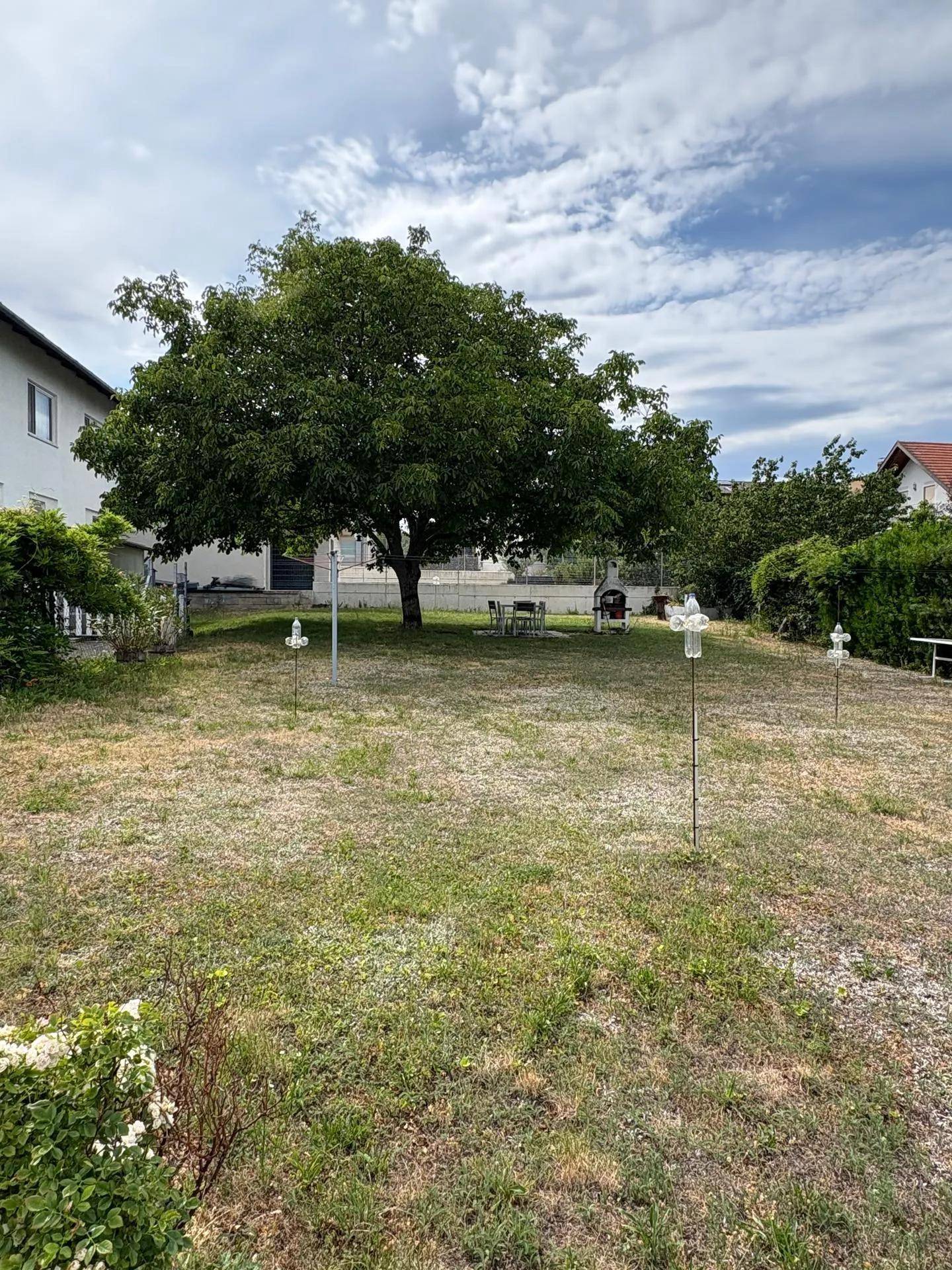 Großer Garten mit altem Baum, Rasenfläche und Sitzgelegenheit im Freien.