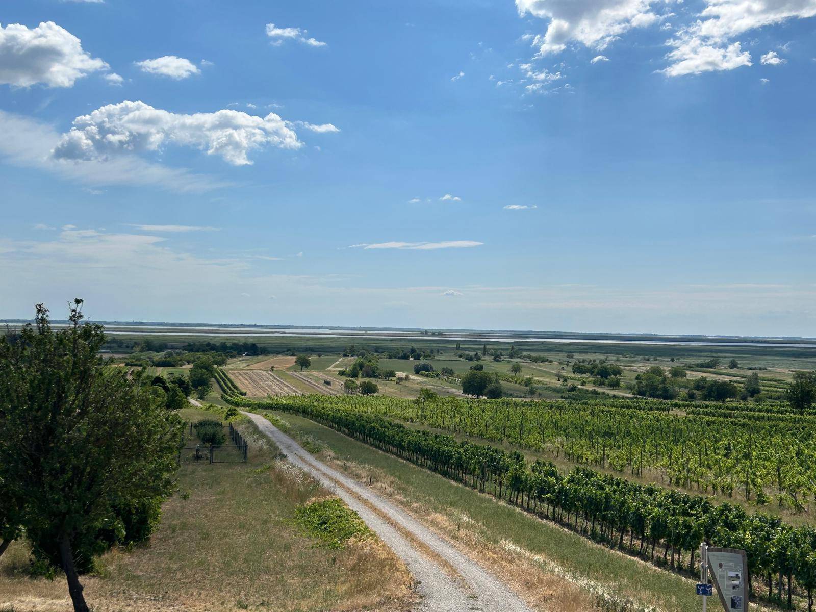 Weitläufige Landschaft mit Weinbergen, Feldern und einem See am Horizont unter blauem Himmel.