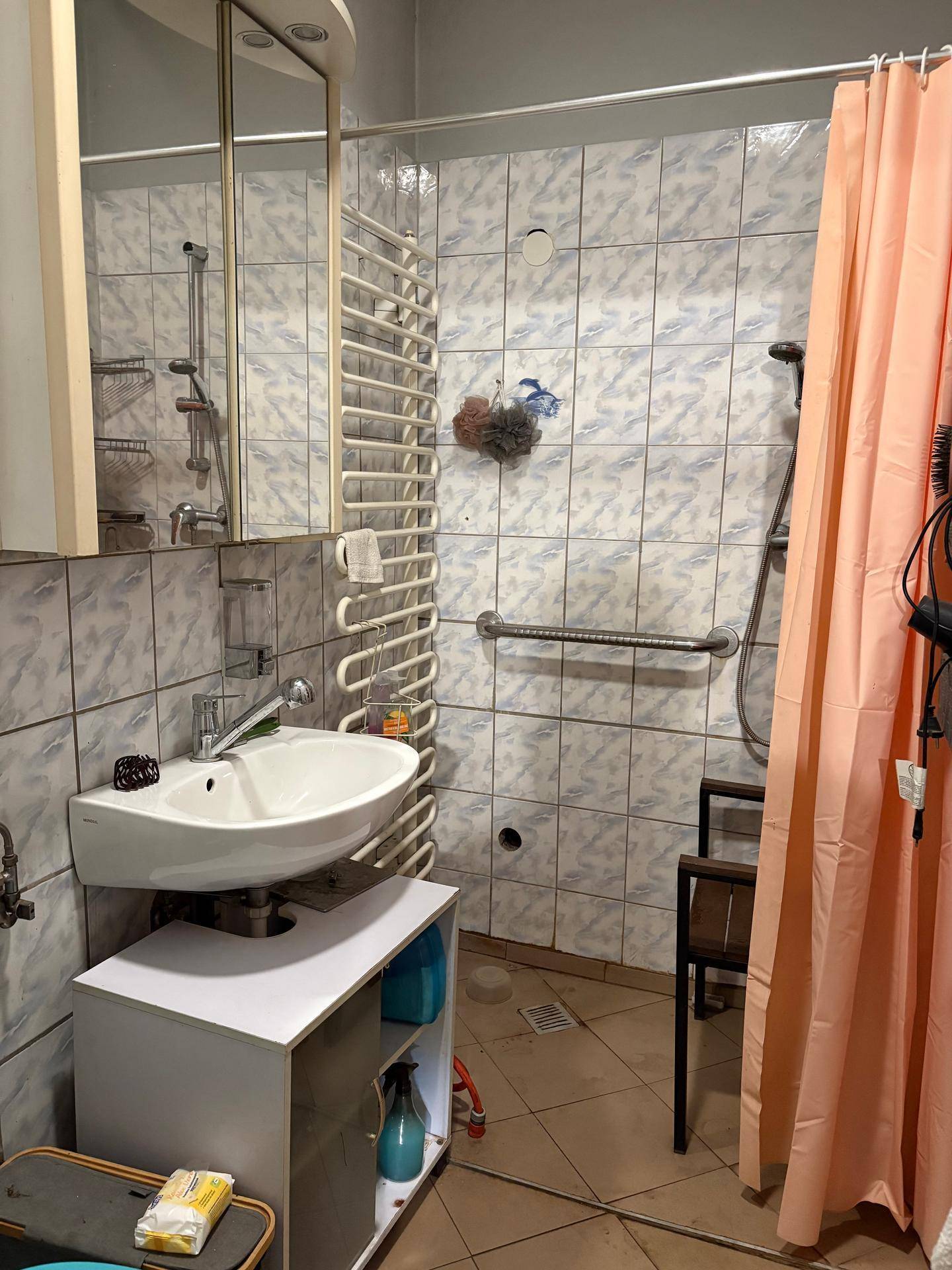Badezimmer mit Dusche, Waschbecken, Spiegelschrank, Handtuchheizkörper und Haltegriffen für Komfort.