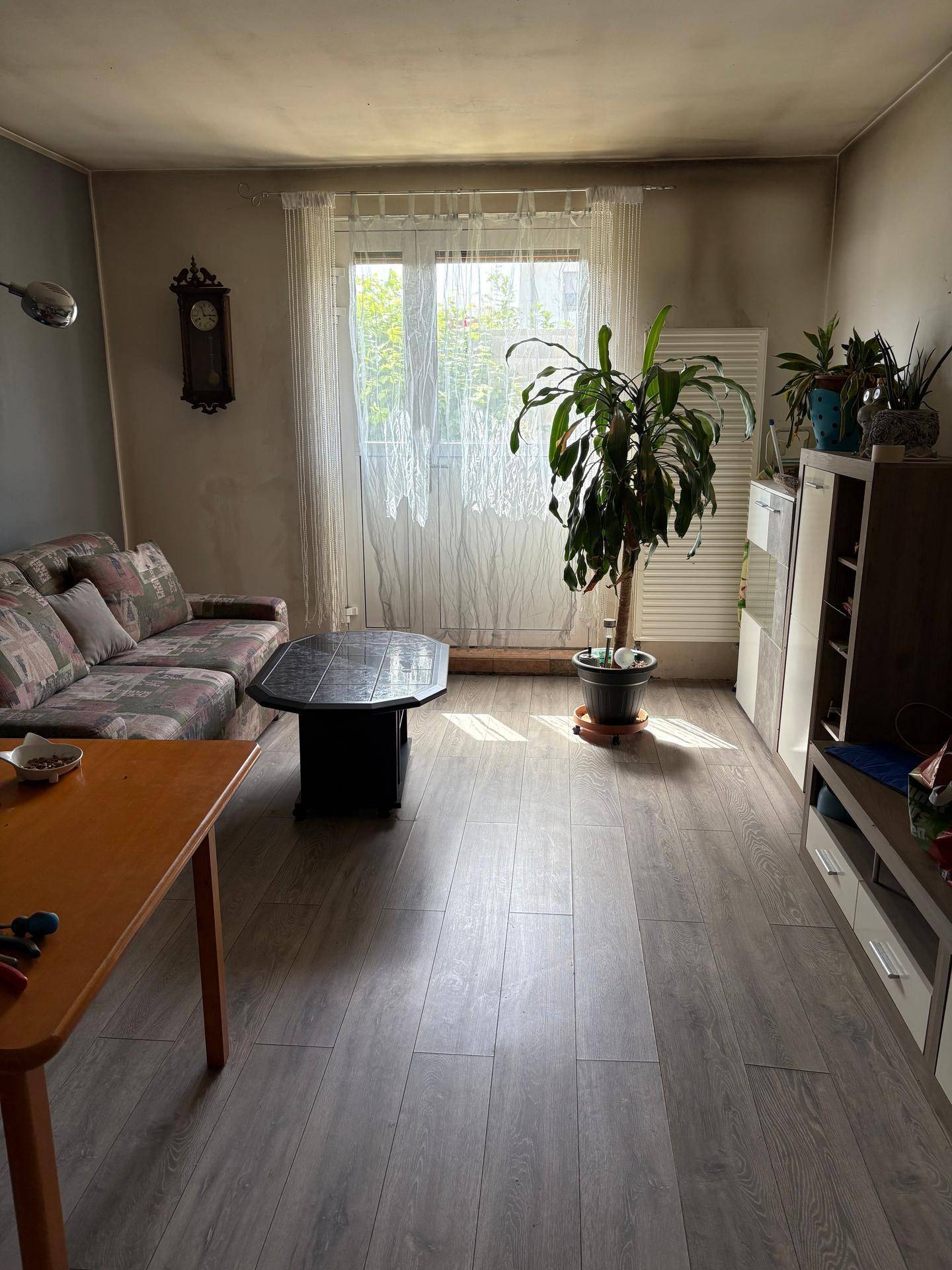 Gemütliches Wohnzimmer mit Sofa, Esstisch, Pflanzen und viel Tageslicht durch das Fenster.