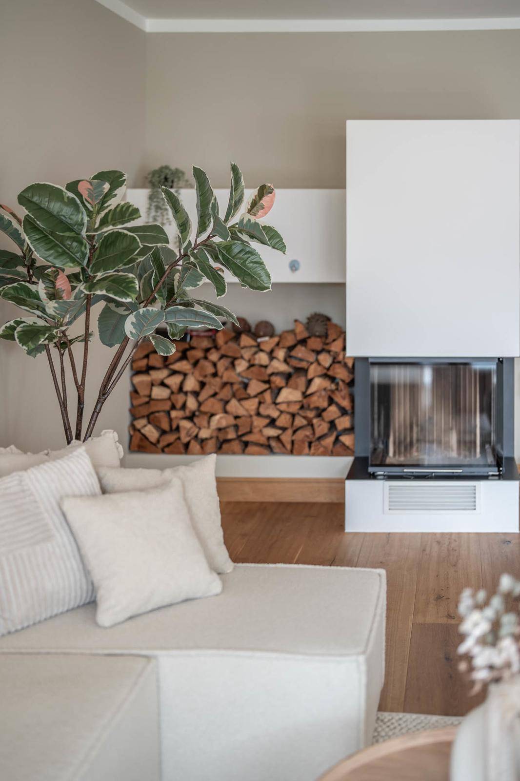 Nahaufnahme des modernen Kamins mit Holzstapel und einer Zimmerpflanze.
