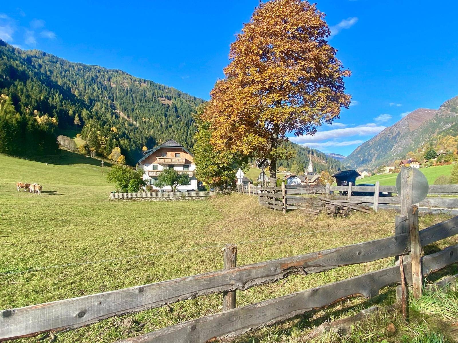 Grundstück Muhr