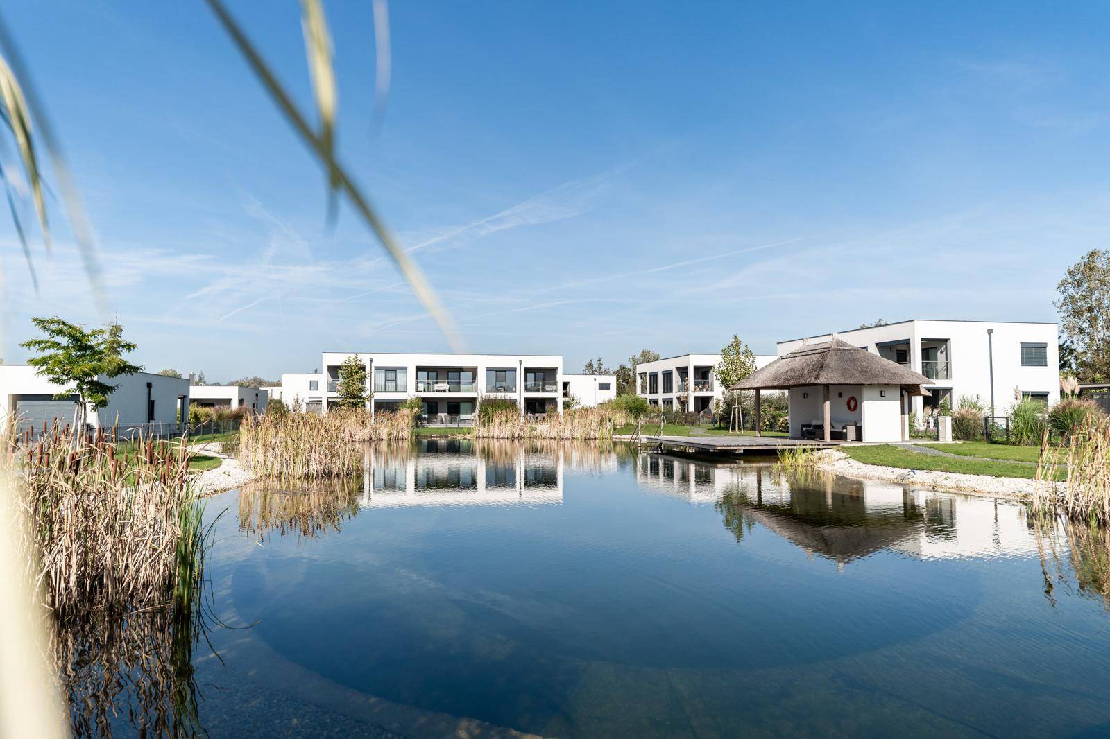 Idyllischer Teich mit Schilf und einem kleinen Pavillon, umgeben von modernen Wohngebäuden.