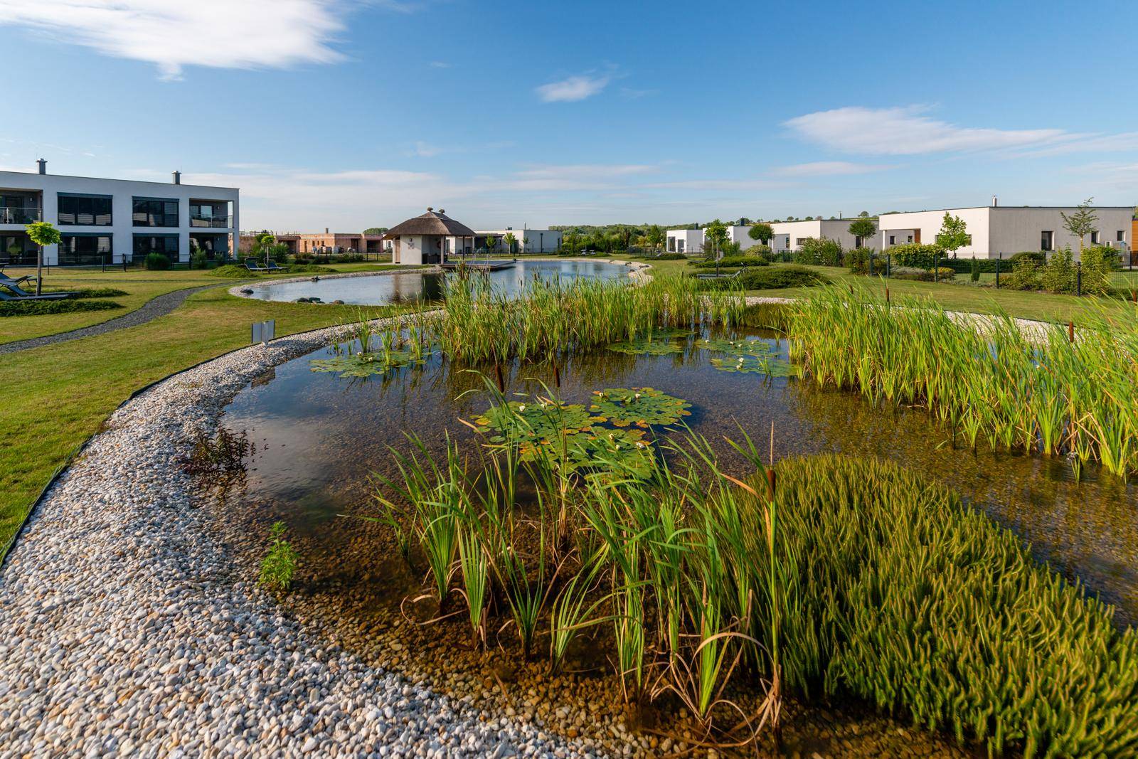 Weitläufige Außenanlage mit natürlichem Teich, Schilf und modernen Wohngebäuden im Hintergrund.