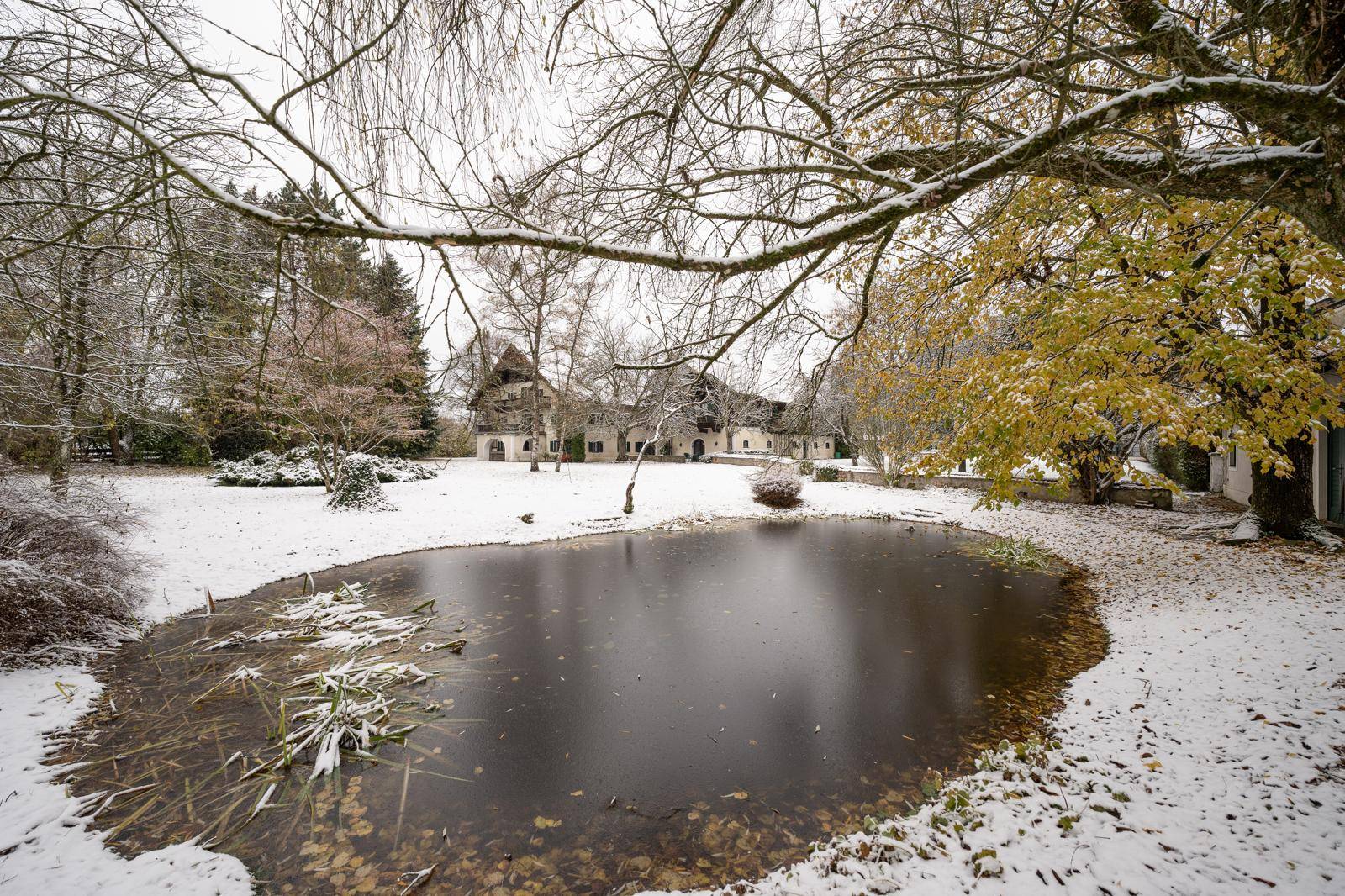 Winterliche Gartenlandschaft mit gefrorenem Teich und verschneiten Bäumen.