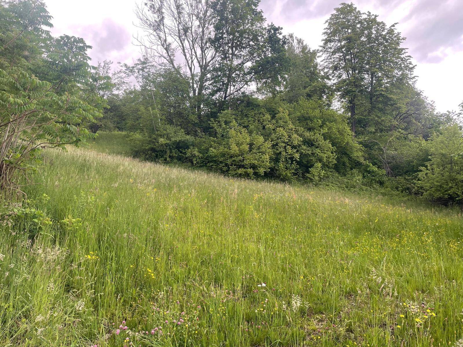 Traumhaftes Baugrundstück in Ruhelage von Moosburg - Ansicht 2