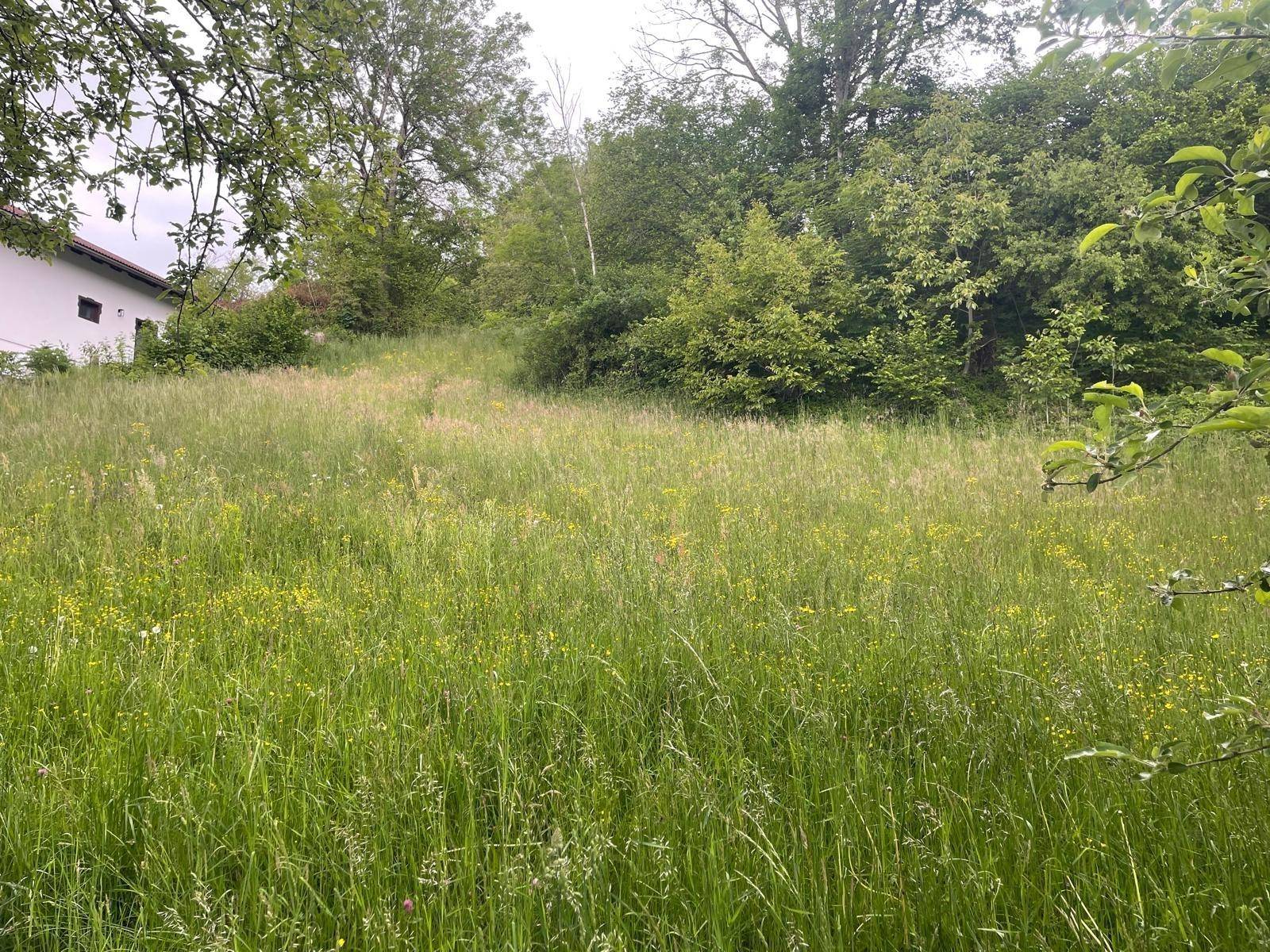 Traumhaftes Baugrundstück in Ruhelage von Moosburg - Ansicht 3