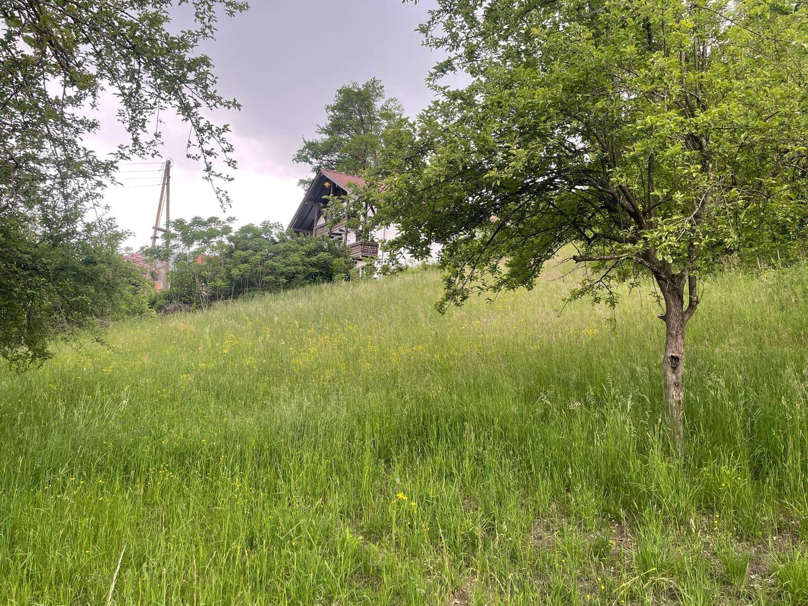 Traumhaftes Baugrundstück in Ruhelage von Moosburg - Ansicht 4